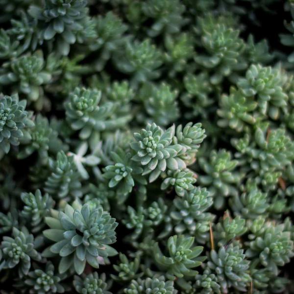 Kios Terminal Larangan A1 — foto 5